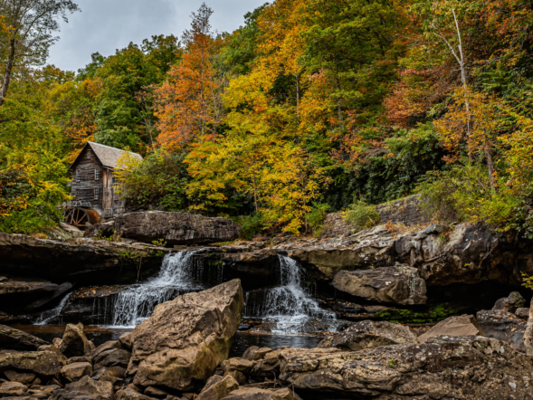 washington mill creek 1